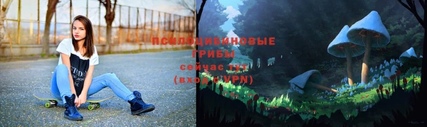 сатива Абаза