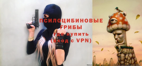 сатива Абаза