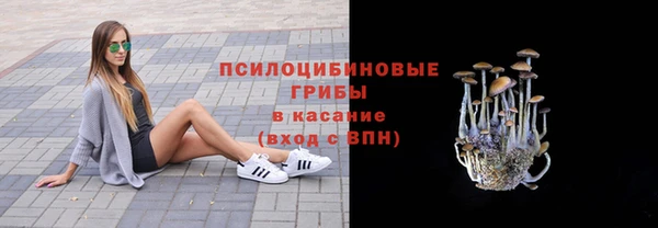 винт Абинск