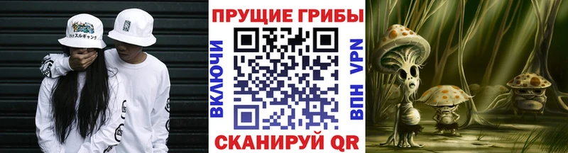 Псилоцибиновые грибы прущие грибы  Шилка 